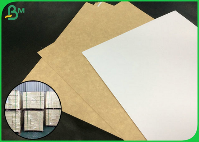 Coated 100% Virgin Kraft Paper For Making Air Filter Paper Board