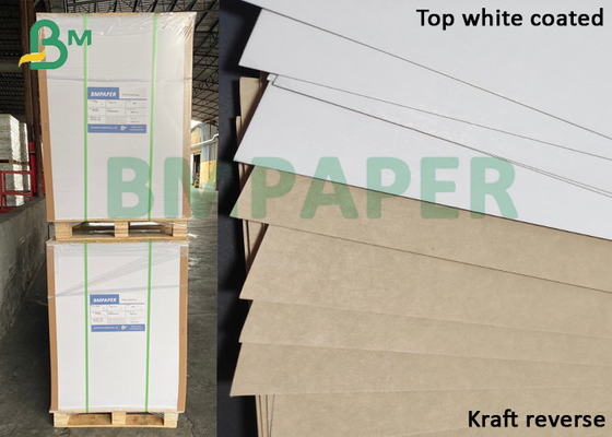 สีขาวเคลือบเรียบพิเศษ 250 แกรม - กระดาษแข็ง KLB Kraft Liner ยอดนิยม