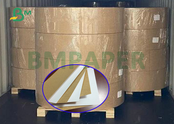 325gsm 31 "กระดาษแข็งเกรดอาหารทนต่อการฉีกขาดสูงสำหรับกล่องอาหารกลางวัน
