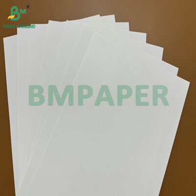 High Performance Matt Wet Rub Resistant 75gsm 80gsm Label Paper for Chilled Beverages