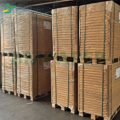 40gsm Food Grade High Teamperature Resistant Baking Paper Roll