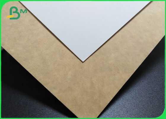 Kraft Take Out Containers Material Food Packaging Paperboard 300gsm