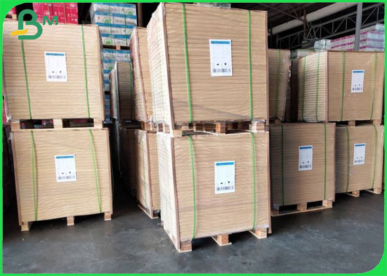 กระดาษลอกลาย Natural Sulphate Paper Copy 55 - 285gsm For Architectural Design