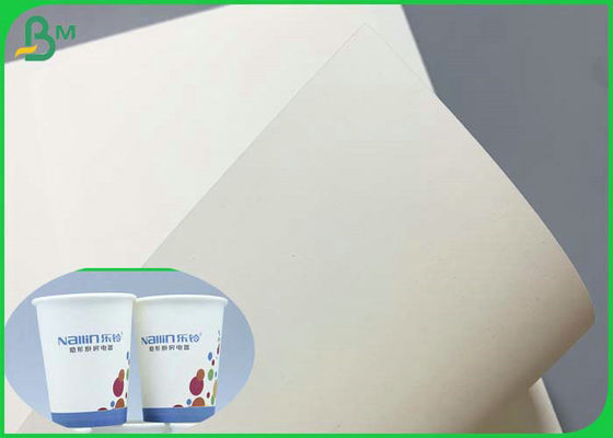 ใบรับรอง SGS 230g 260g PE เคลือบ Cupstock Base Paper 850mm Roll