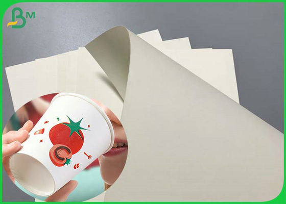 210g สีขาวพิมพ์ได้ 650mm Cupstock Paper สำหรับถ้วยกระดาษที่ใช้แล้วทิ้ง