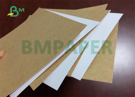 325gsm 31 "กระดาษแข็งเกรดอาหารทนต่อการฉีกขาดสูงสำหรับกล่องอาหารกลางวัน