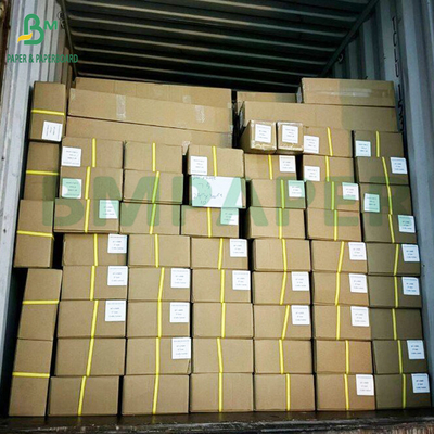 กระดาษส่องรอยโปร่งใส 24 In X 50 Yds สกิทและส่องรอยม้วน สีขาว