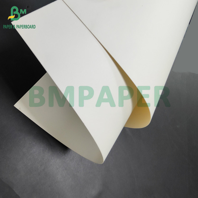 300 กรัม + 15 กรัม กระดาษ PET ที่เคลือบอาหาร สําหรับถังอาหารกลางวัน 700 x 1000 มม.