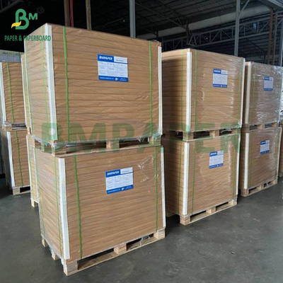 110 กรัม กระดาษออฟเซ็ตสีสด กระดาษหลายสี กระดาษไร้ไม้ กระดาษกระดาษกระดาษกระดาษกระดาษกระดาษกระดาษกระดาษกระดาษกระดาษกระดาษกระดาษกระดาษกระดาษกระดาษกระดาษกระดาษกระดาษกระดาษกระดาษกระดาษกระดาษกระดาษกระดาษกระดาษกระดาษกระดาษกระดาษกระดาษกระดาษกระดาษกระดาษกระดาษกระดาษกระดาษกระดาษกระดาษกระดาษกระดาษกระดาษกระดาษกระดาษกระดาษกระดาษกระดาษกระดาษกระดาษกระดาษกระดาษกระดาษกระดาษกระดาษกระดาษกระดาษกระดาษกระดาษกระดาษกระดาษกระดาษกระดาษกระดาษกระดาษกระดาษกระดาษกระดาษกระดาษกระดาษกระดาษกระดาษกระดาษกระดาษ