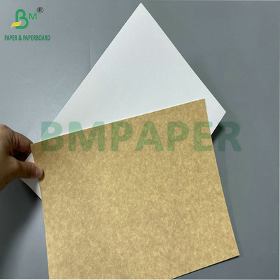 100% ความปลอดภัยอาหาร 325 กรัม 360 กรัม กระดาษรีไซเคิลเคลือบสําหรับทํากล่องอาหารกลางวัน