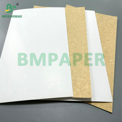 100% ความปลอดภัยอาหาร 325 กรัม 360 กรัม กระดาษรีไซเคิลเคลือบสําหรับทํากล่องอาหารกลางวัน