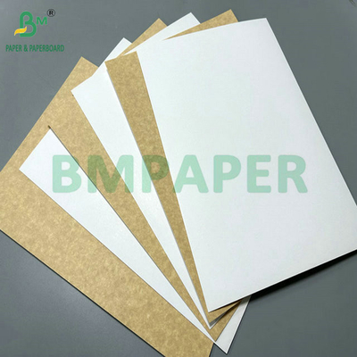 100% ความปลอดภัยอาหาร 325 กรัม 360 กรัม กระดาษรีไซเคิลเคลือบสําหรับทํากล่องอาหารกลางวัน
