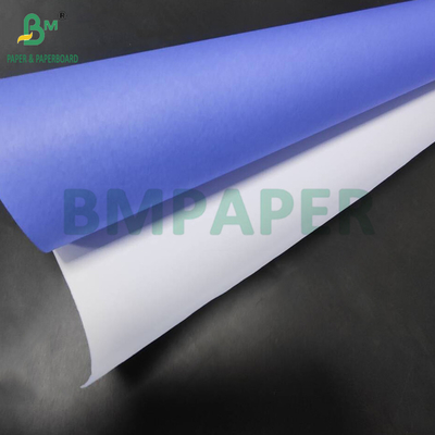 80gm กระดาษวาดสีม่วงสีฟ้าด้านเดียว สําหรับเครื่องกล 610mm x 50m