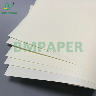 สีช้าง เนียน 50 กรัม กระดาษไร้ไม้ กระดาษหนังสือไม่เคลือบ กระดาษจัมโบ รอลล์