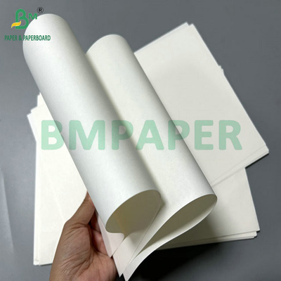 ขนาดที่กําหนดเอง Jumbo Paper Roll กระดาษกระดาษกระดาษกระดาษกระดาษกระดาษกระดาษกระดาษกระดาษกระดาษกระดาษกระดาษกระดาษกระดาษกระดาษกระดาษกระดาษกระดาษกระดาษกระดาษกระดาษกระดาษกระดาษกระดาษกระดาษกระดาษกระดาษกระดาษกระดาษกระดาษกระดาษกระดาษกระดาษกระดาษกระดาษกระดาษกระดาษกระดาษกระดาษกระดาษกระดาษกระดาษกระดาษกระดาษกระดาษ