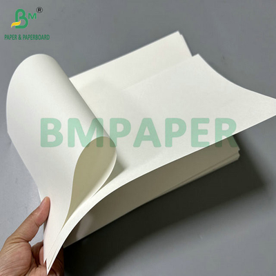 ขนาดที่กําหนดเอง Jumbo Paper Roll กระดาษกระดาษกระดาษกระดาษกระดาษกระดาษกระดาษกระดาษกระดาษกระดาษกระดาษกระดาษกระดาษกระดาษกระดาษกระดาษกระดาษกระดาษกระดาษกระดาษกระดาษกระดาษกระดาษกระดาษกระดาษกระดาษกระดาษกระดาษกระดาษกระดาษกระดาษกระดาษกระดาษกระดาษกระดาษกระดาษกระดาษกระดาษกระดาษกระดาษกระดาษกระดาษกระดาษกระดาษกระดาษ