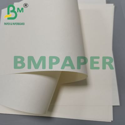 100 กรัม 120 กรัม ครีมดี หนอนซึมกระดาษหนังสือ 66 ซม x 88 ซม สําหรับการออกกําลังกายในโรงเรียน