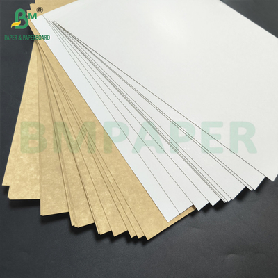 ผนังหลังครบครัน มีสีเคลือบหลายชั้น 275 กรัม ด้านบน ขาว