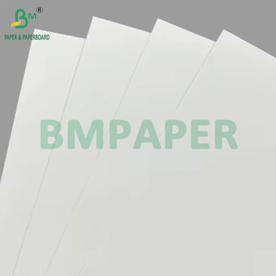 150gsm ถึง 320gsm C1S PE ทับถ้วยกระดาษกระดาษกระดาษกระดาษกระดาษกระดาษกระดาษกระดาษกระดาษกระดาษกระดาษกระดาษกระดาษกระดาษกระดาษกระดาษกระดาษกระดาษกระดาษกระดาษกระดาษกระดาษกระดาษกระดาษกระดาษกระดาษกระดาษกระดาษกระดาษกระดาษกระดาษกระดาษกระดาษกระดาษกระดาษกระดาษ