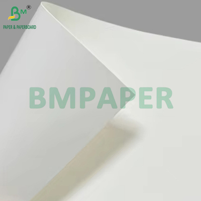 150gsm ถึง 320gsm C1S PE ทับถ้วยกระดาษกระดาษกระดาษกระดาษกระดาษกระดาษกระดาษกระดาษกระดาษกระดาษกระดาษกระดาษกระดาษกระดาษกระดาษกระดาษกระดาษกระดาษกระดาษกระดาษกระดาษกระดาษกระดาษกระดาษกระดาษกระดาษกระดาษกระดาษกระดาษกระดาษกระดาษกระดาษกระดาษกระดาษกระดาษกระดาษ