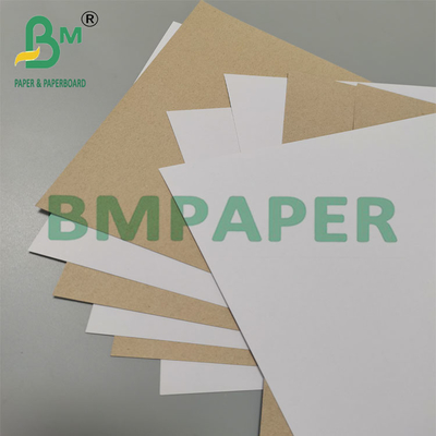 350 กรัม 79 x 109 ซม กระดาษ Duplex ที่เคลือบด้วยหลังสีเทา สําหรับบรรจุยา