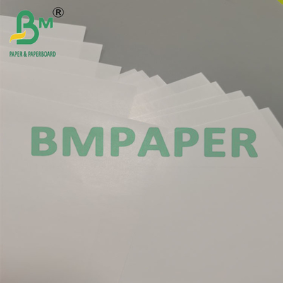 80 กรัม กระดาษกระดาษกระดาษกระดาษกระดาษกระดาษกระดาษกระดาษกระดาษกระดาษกระดาษกระดาษกระดาษกระดาษกระดาษกระดาษกระดาษกระดาษกระดาษกระดาษ