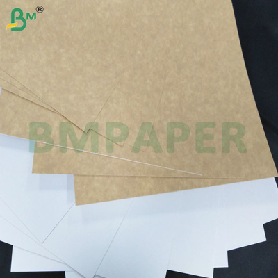 200-360 GSM แผ่นกระดาษครัฟท์เคลือบด้านเดียว กันหนาว