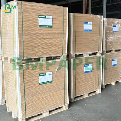 320 GSM กระดาษกระดาษกระดาษกระดาษกระดาษกระดาษกระดาษกระดาษกระดาษกระดาษกระดาษกระดาษกระดาษกระดาษกระดาษกระดาษกระดาษกระดาษกระดาษกระดาษกระดาษ
