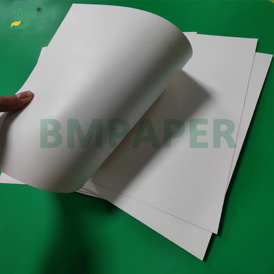 300 กรัม + 15 กรัม PE ครอบคลุมกระดาษ ถ้วยกระดาษ กระดาษสําหรับเครื่องดื่มร้อน 820mm 880mm