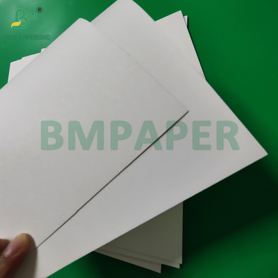 300 กรัม + 15 กรัม PE ครอบคลุมกระดาษ ถ้วยกระดาษ กระดาษสําหรับเครื่องดื่มร้อน 820mm 880mm
