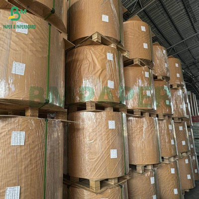 240 กรัม + 18 กรัม PE ทับถ้วยกระดาษสต็อก แมท ปลายด้านหนึ่ง Custom Roll กว้าง 430 มม - 2100 มม
