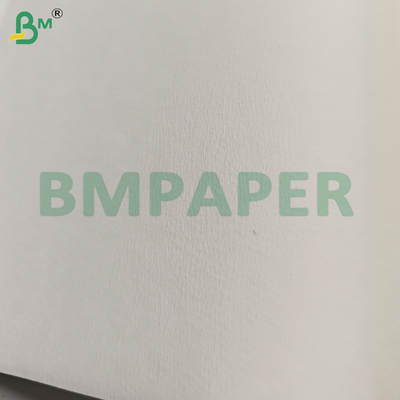 กระดาษกรองอาหาร 50GSM สําหรับกรองกาแฟและชา