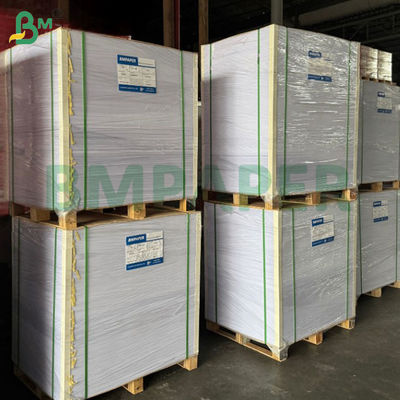 กระดาษบอร์ดบริสตอลสีขาวพิเศษ 300 แกรม ไม่เคลือบผิว พื้นผิวเรียบ ปราศจากกรด ขนาด 19 x 24 นิ้ว