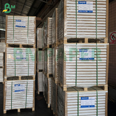 กระดาษเมทัลไลซ์ทนเปียก 68 แกรม 70 แกรม สำหรับป้ายเบียร์ ขนาด 70 x 100 ซม. กันน้ำ