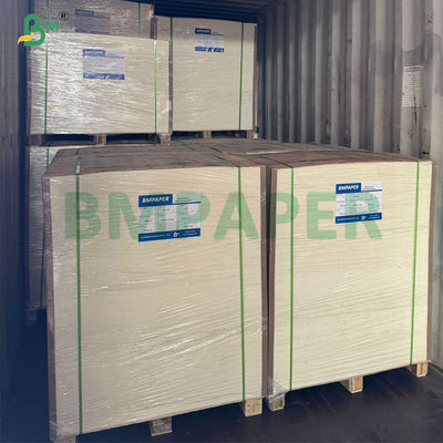 240 กรัม + 20 กรัม บายโอเดรเกรดเพลส ทับถ้วยเบสกระดาษในม้วน