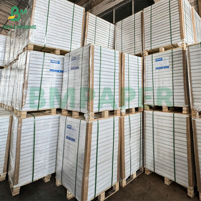 กระดาษไร้คาร์บอน 75 กรัม ขนาด A4/Letter - สําเนาสีฟ้าหรือสีดํา