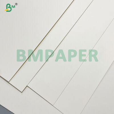 Food Grade White Kraft Cup Stock Paper For Ice - cream Cup
