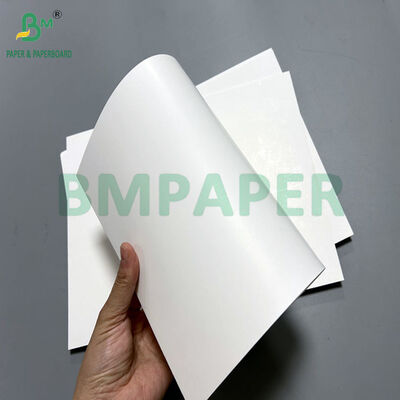 900 X 640MM 250Gr 300Gr One Sided Coating SBS Paper For Food Package