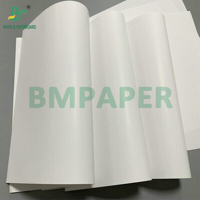 Water Resistant High Gloss Coated One Side 70gsm 80gsm C1S Label Paper for Bottle Labels
