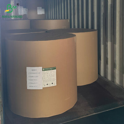 18PT 24PT PE Coated CCNB Paper Board for Frozen Food Packaging Boxes