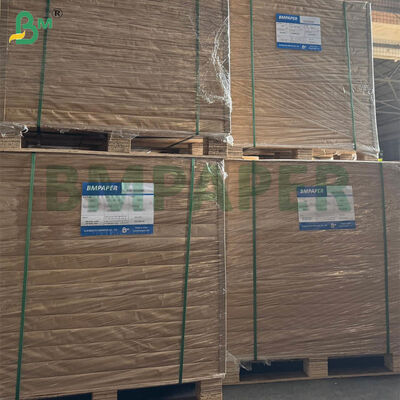 ใบกระดาษกรองกาแฟที่มีการรับรองคุณภาพอาหารที่มีขนาดใหญ่และตัวเลือกกรัมสองตัว สําหรับการทําเบียร์ในบ้านและการทําเบียร์ทางการค้า