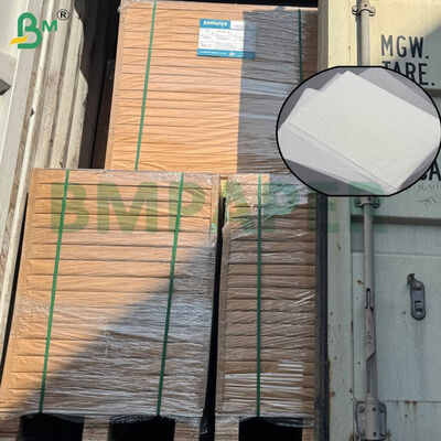 ใบกระดาษกรองกาแฟที่มีการรับรองคุณภาพอาหารที่มีขนาดใหญ่และตัวเลือกกรัมสองตัว สําหรับการทําเบียร์ในบ้านและการทําเบียร์ทางการค้า