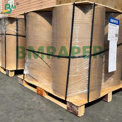 Cake Pan Liner Parchment 21gsm White and Colored Semi Transparency