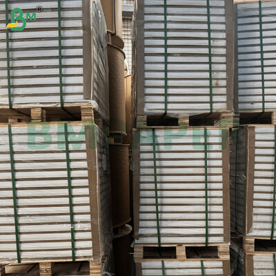 กระดาษอาร์ตเคลือบมันสองหน้า C2S หนา 100/180/200 แกรม