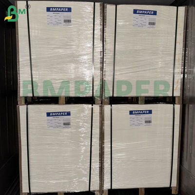 กระดาษรองแก้วเบียร์ 460 แกรม หนา 0.8 มม. | กระดาษซับน้ำ ขนาด 1200 มม. x 840 มม. แผ่น