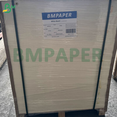 กระดาษรองแก้วเบียร์ 460 แกรม หนา 0.8 มม. | กระดาษซับน้ำ ขนาด 1200 มม. x 840 มม. แผ่น