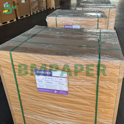 Coffee Filter Paper Base Paper For Coffee Cone, Basket, Sleeve