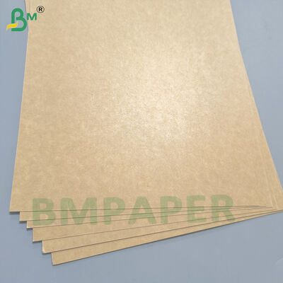 PE PET Coated Food Kraft Paper for Disposable Food Box / Bowl
