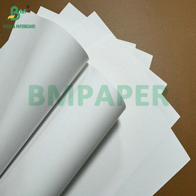 High Performance Matt Wet Rub Resistant 75gsm 80gsm Label Paper for Chilled Beverages