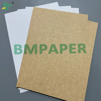 Single Side Coated with Smooth White Surface 300gsm Coated White Back Kraft Paper for High-Quality Printing Frozen Food Cartons